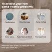 Lifelong Mini Dehumidifier - LLEDH07