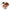 Lifelong LLM378 Foldable Foot Spa Massager Machine for Foot Care, Pain Relief, Pedicure - Brown