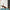 Lifelong Yoga mat for Women & Men EVA Material 8mm Sea Blue Anti Slip for Gym Workout