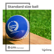 Lifelong PVC Soft Cricket Windball (Multicolour) 3 , Standard Size