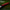 Lifelong Senior Plastic Cricket Full Size Bat