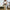 Lifelong Adult Cricket Bat - Kashmir Willow & Cane Handle