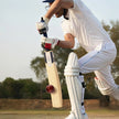 Lifelong Adult Cricket Bat - Kashmir Willow & Cane Handle