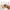 Lifelong LLM09 Mini Head and Body Massager