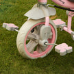 Lifelong Kids Parental Control Tricycle with Hood,Harness,EVA Wheels, Bell & Storage Basket