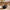 Lifelong Cast Iron Kadai 24cm + glass lid With Wooden Spatula