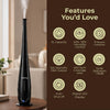 Lifelong Cool Mist Ultrasonic Humidifier for Room Moisture 5.5L |Top Fill Aromatic Air Diffuser for Home, Office, Bedroom, Living Room | 35dB, 360° Nozzle, Adjustable Mist, Auto Shut Off, 8Hr