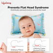 Lifelong Cuppy Rai Mustard Seeds Baby Headrest | Soft & Supportive Pillow for Newborns | Round Head Shaping Cushion with Washable Cover (LLCMP02)