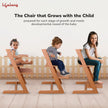 Lifelong Cuppy Wooden High Chair for Baby 6 Months - 10 Years |