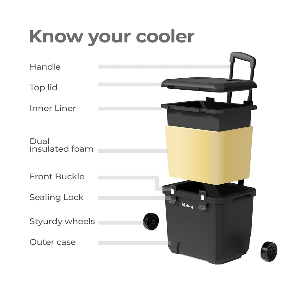 Lifelong Insulated Chiller Ice Box Standard Size for Travel Party Bar|Ice Cubes|Medical Purpose|Insulated Chiller Ice Box 38 LTR