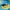 Lifelong Swimming Combo Kit for Kids 5+ Years| Swimming Goggles, Swim Cap with Earplug, Noseclip