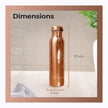 Lifelong 900 ml Copper Water Bottle | Natural alkaline water | Leakproof & Lightweight Design Boosts Immunity | Anti-Bacterial, BPA Free, Easy to Clean with Secure Cap for School, Travel, Gym & Work LLCBH02