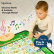 Lifelong Cuppy Bilingual Talking Playmat | English & Hindi Educational Mat for Kids