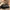 Lifelong Leatherette Weekender Duffle Bag – Stylish, Spacious & Carry-On Friendly