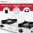 Lifelong 2 Burner Gas Stove Top for Kitchen - Manual Ignition Cooktop with Stainless Steel for Kitchen, ISI Certified & Compatible with LPG - 1 Year Manufacturer's (Silver, LLGS991)