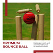 Lifelong Rubber Cricket Tennis Balls – Heavy Red, Durable, Set of 3