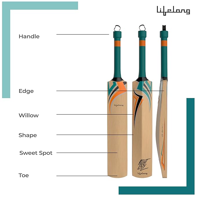Lifelong Wooden Gully Cricket Bat Set for Adults – All-in-One Combo with Bat, Ball & Convertible Stump Bag