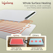 Electric Food Warmer - 400 W | Roll Up Silicon Heating Mat | Adjustable Temperature Control with Touch | Even Warming Tray for Dining, Parties & Events