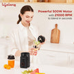Lifelong Nutri Blender 500W – Mixer Grinder & Smoothie Maker with 2 Jars