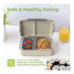 Stainless Steel Lunch Box – 2 Compartment, 700ml Leak-Proof Insulated Tiffin (Light Green)