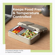 Stainless Steel Lunch Box – 2 Compartment, 700ml Leak-Proof Insulated Tiffin (Light Green)