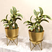 Lifelong Metal Set of 2 Plant Stand for Balcony & Living Room, Capacity 10Kg