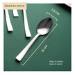 Lifelong Spoon Set for Home & Kitchen | Stainless Steel Tables Spoons Set of 12 for Dining | 16 cm Spoons Set | Mirror Polished Durable Spoon Set with Smooth Edges (LLCTSP12, Silver)