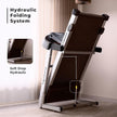 Lifelong FitPro 4HP Motorized Treadmill with Incline, 12 Programs, Bluetooth (LLTM09A)