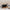 Lifelong Cast Iron Fry Pan 8 inch ( 20mm) With Wooden Spatula