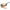 Lifelong Cast Iron Roti Tawa 255mm With Wooden Spatula