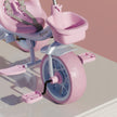 Trike Cycle for Kids 2-5 Years with Parental Control