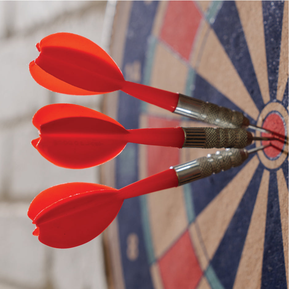 Lifelong wooden 12inch double sided dartboard with 4darts