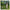 Lifelong Poplar Wood Cricket Bat - Lightweight Tennis Ball Bat with Grip, for Adults & Tournament Play