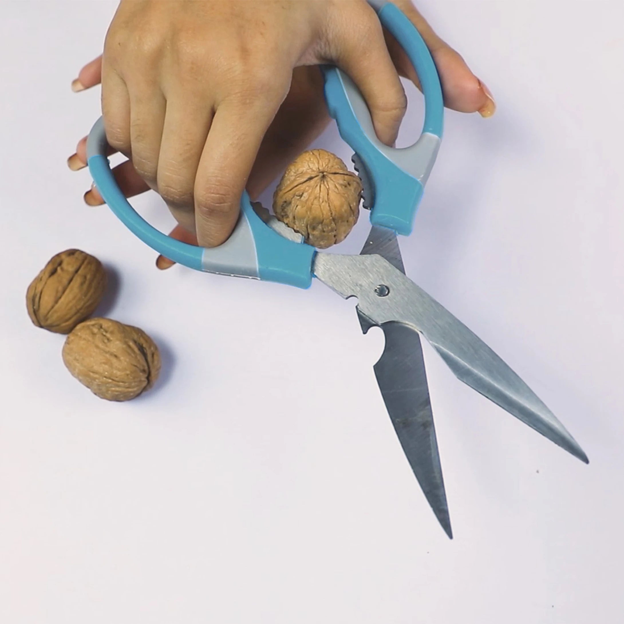 Lifelong Multipurpose Gardening Scissors, Garden Tool for Pruning and Trimming